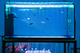 mostra moby dick genova acquario