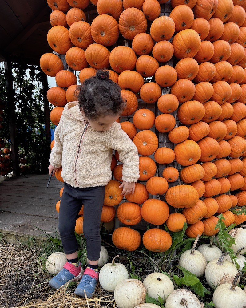 villaggio zucche parete zucche e bambina