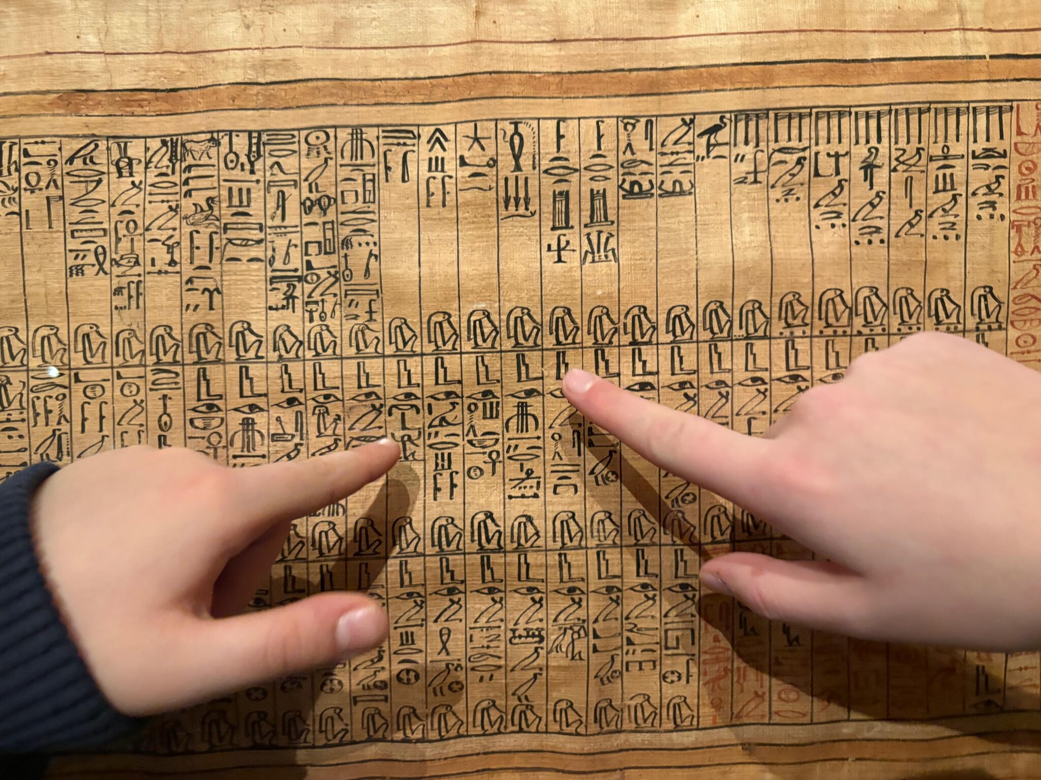 Papiro di Iuefankh al Museo Egizio di Torino