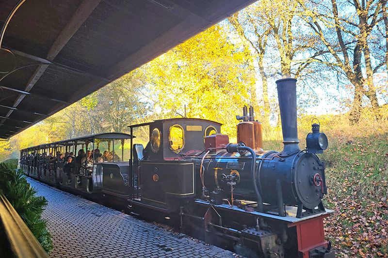 Parco di Efteling in Olanda in autunno e inverno, treno a vapore