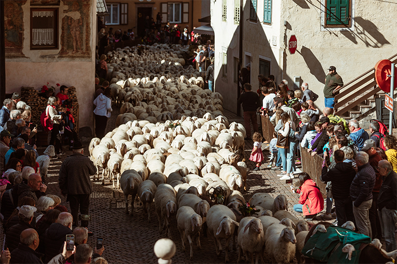 Gran Festa del Desmontegar © Roberto De Pellegrin
