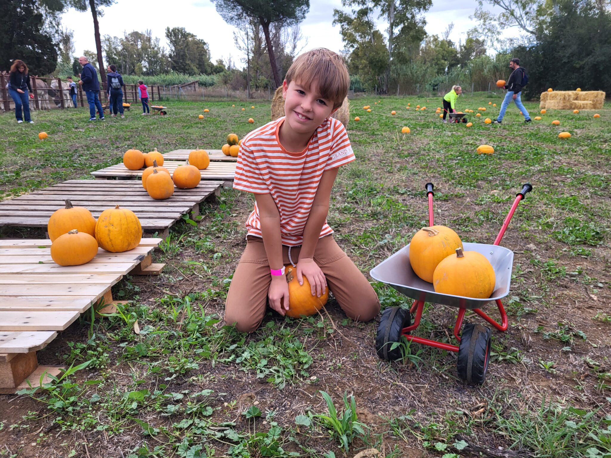Le Zucche di Barbabianca vicino Roma, Pumpkin Patch