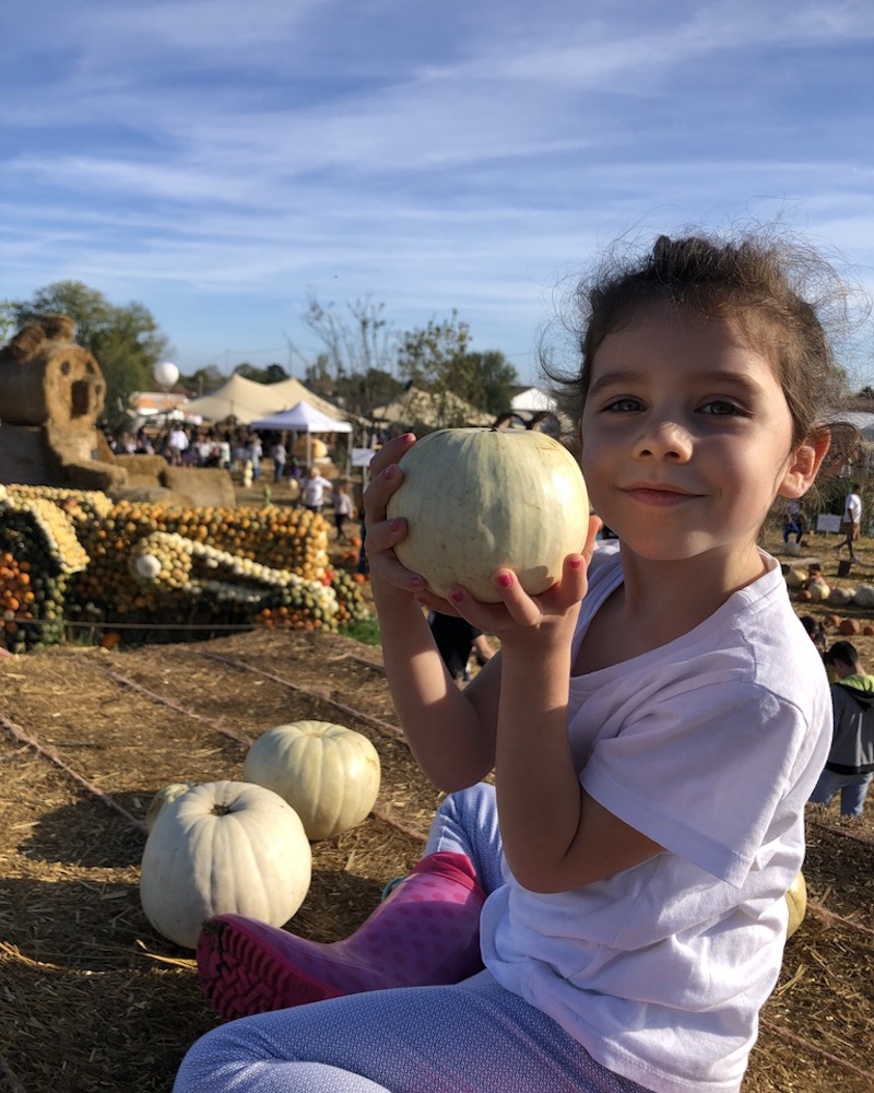 Villaggio delle zucche di Nonno Andrea