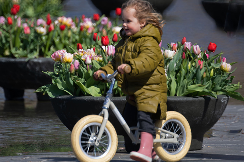 Bimbi in bici in Olanda, ad Amsterdam