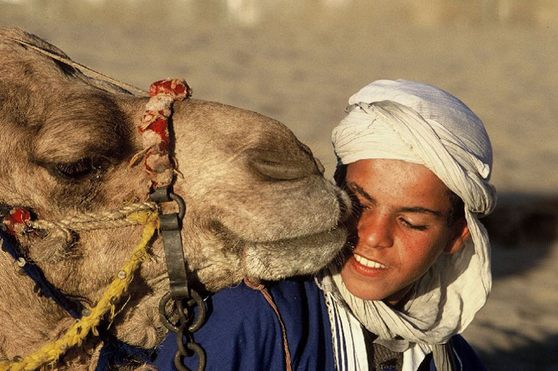 cammello e giovane del Marocco