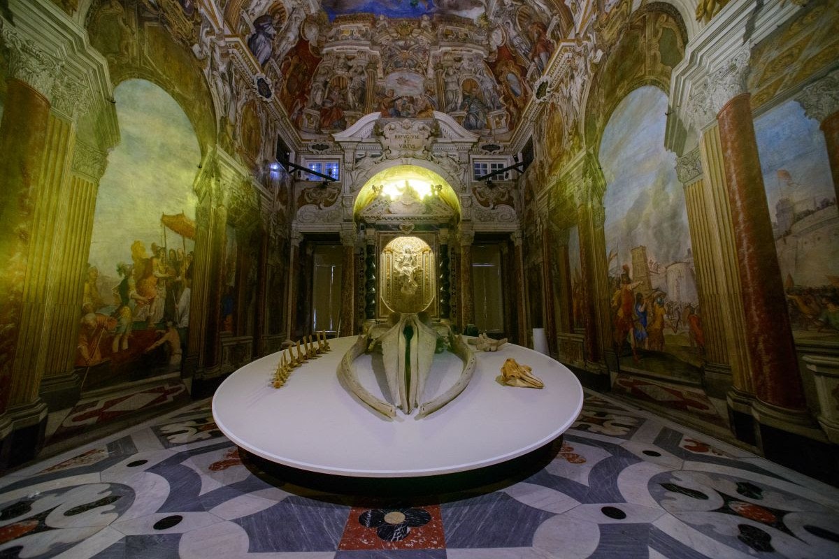 Mostra "Moby Dick - La Balena Storia di un mito dall’antichità all’arte contemporanea" a Palazzo Ducale di Genova
