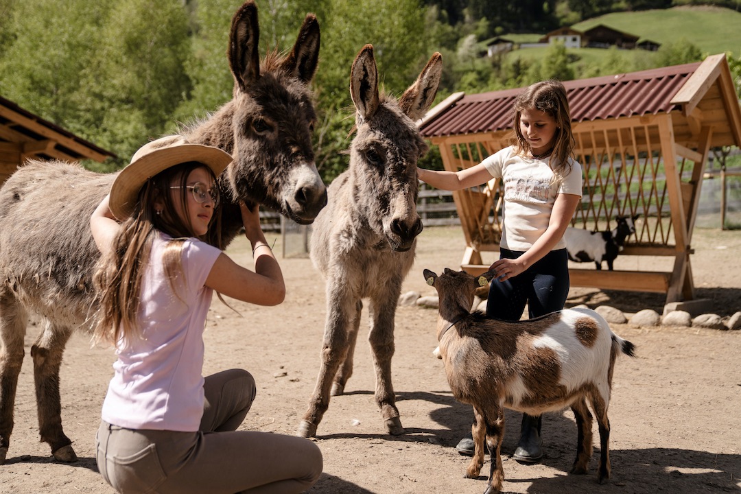 Stroblhof Active Family Spa Resort in Val Passiria per famiglie, fattoria