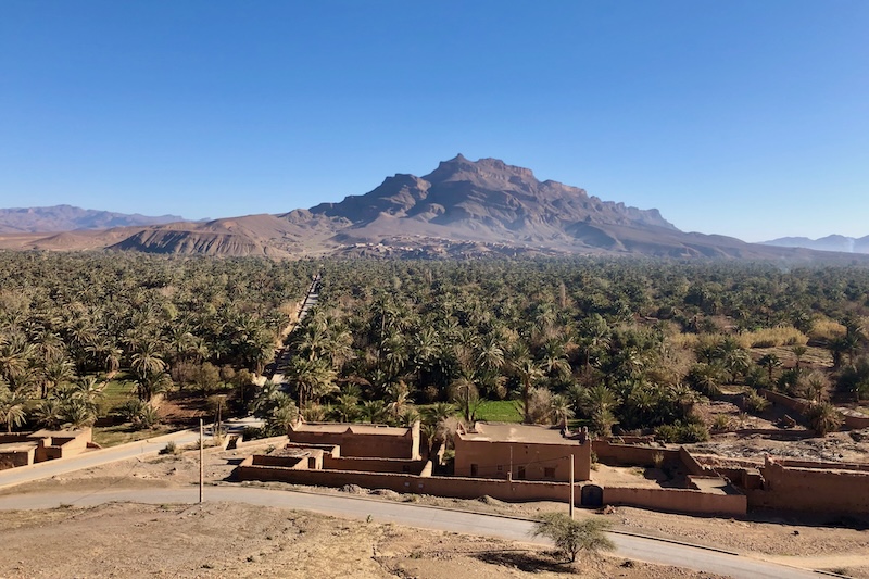 Palmeti lungo la Valle del Drâa