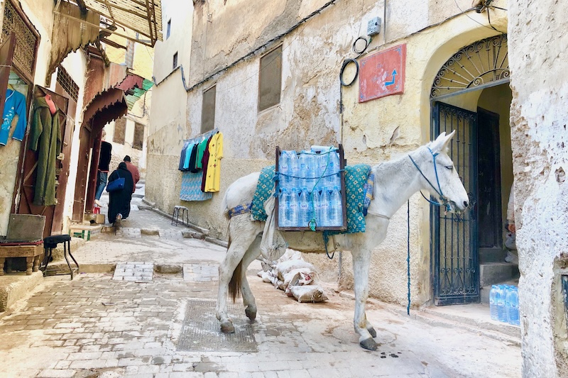 I vicoli di Fez