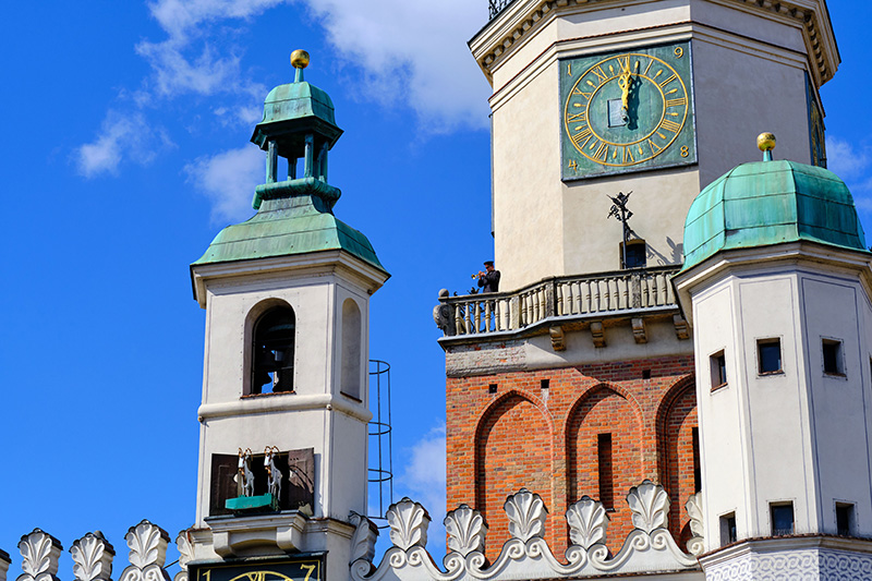 I capretti di Poznan