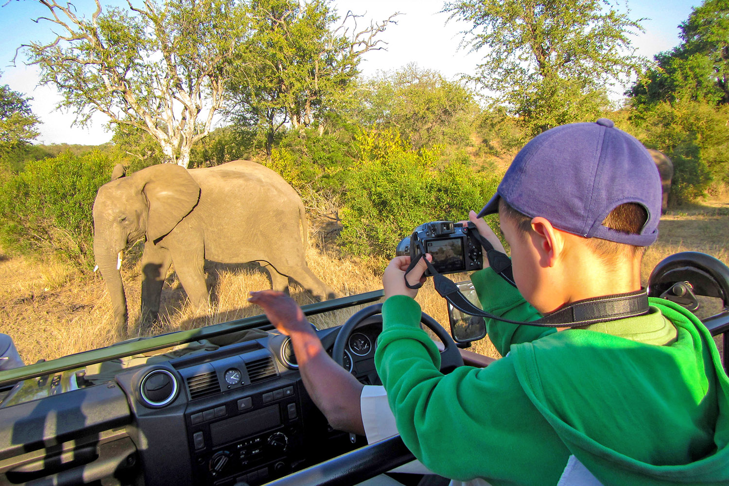 Safari in famiglia in Africa