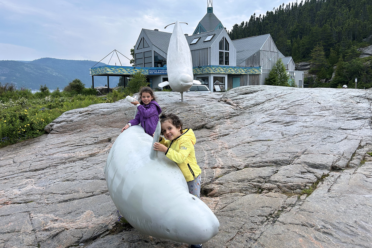 tadoussac, canada balene beluga