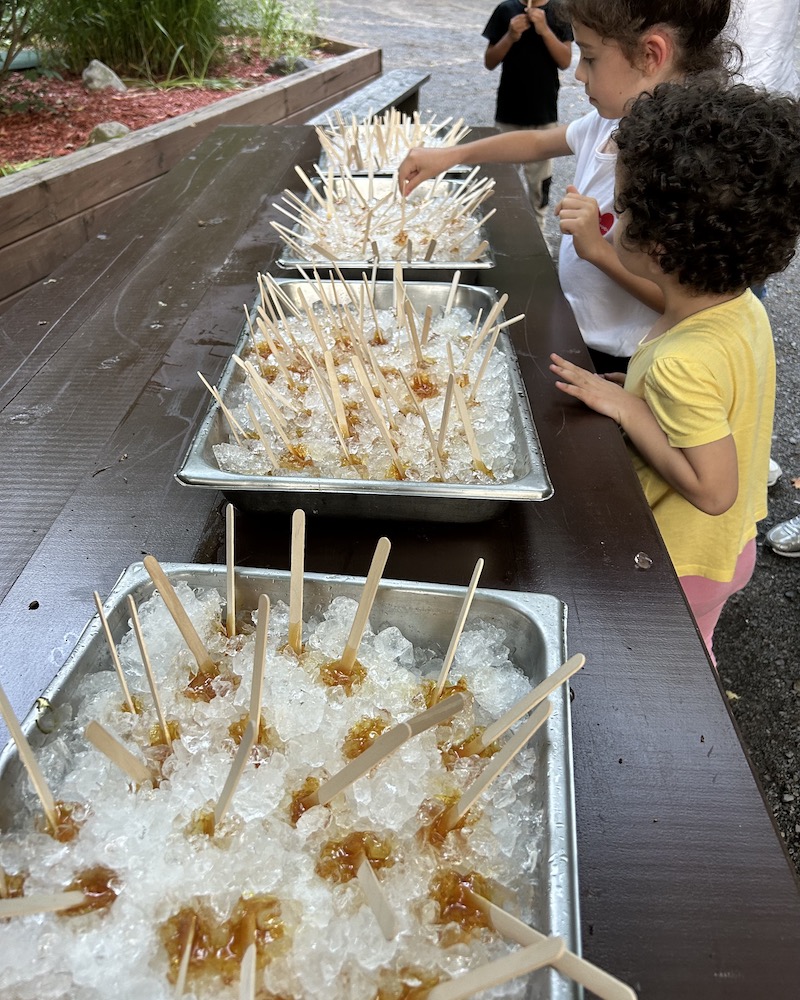 lecca lecca sciroppo acero