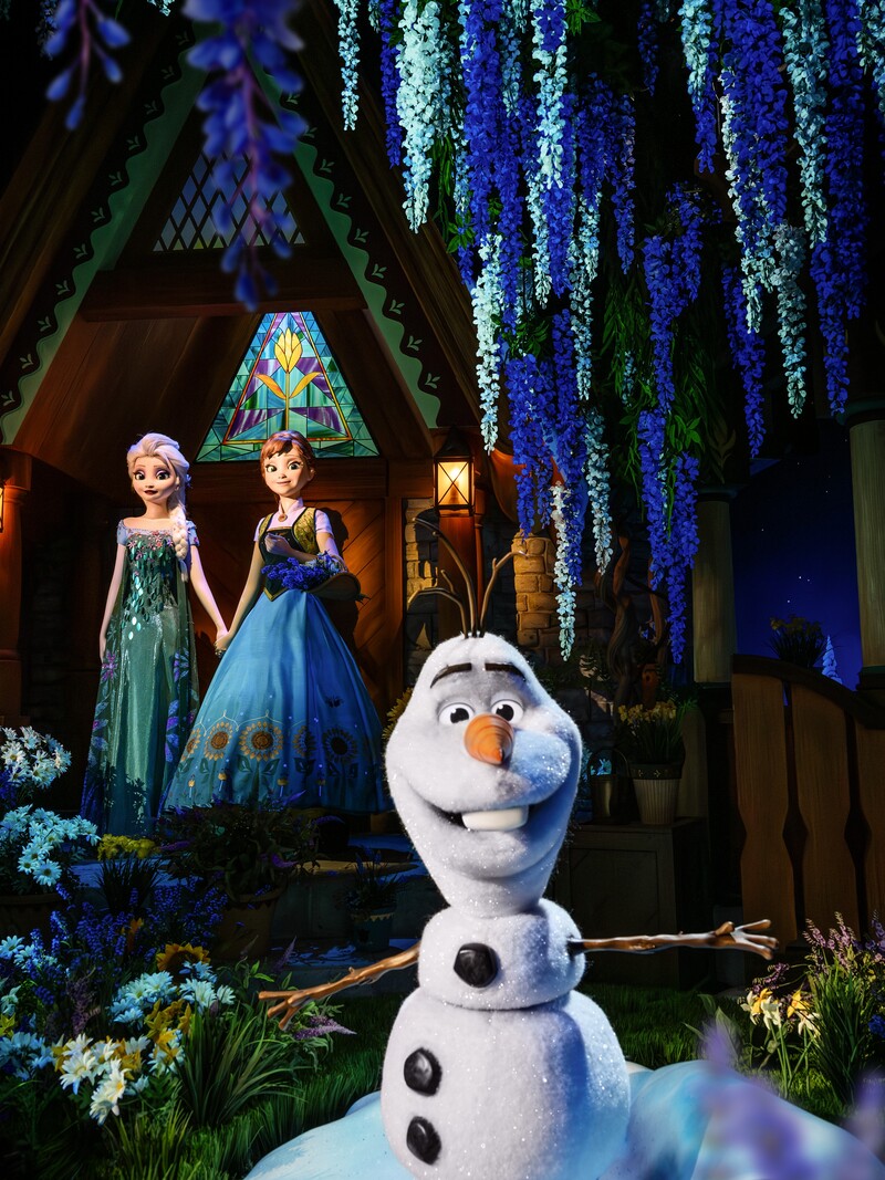 Disneyland Paris: World of Frozen, Frozen Ever After