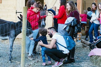 Workshop inclusivi a Fattoria Paideia