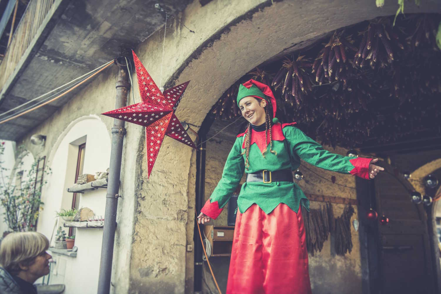 La via degli elfi Rancate