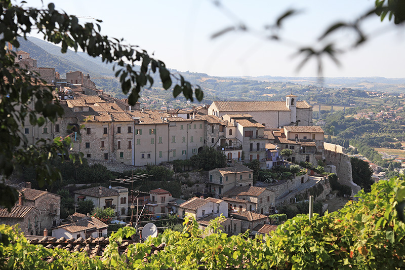 Panoramica di Narni