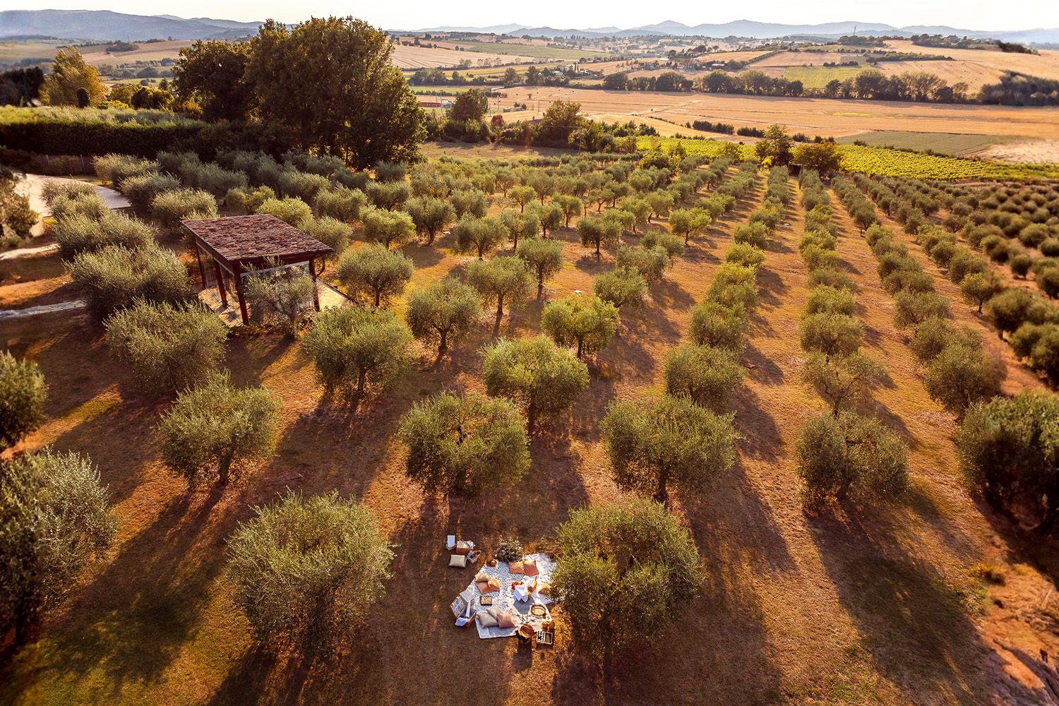 Cantine etiche esperienze per famiglie, pic-nic a Tenuta dei Mori