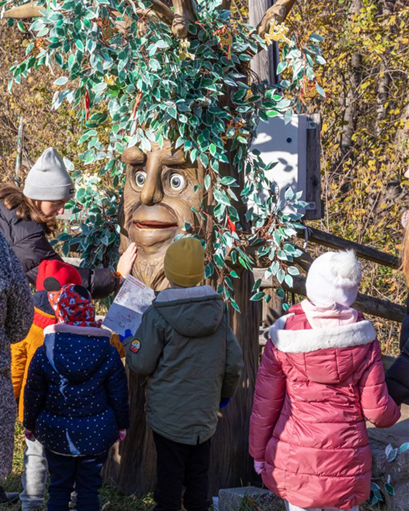 Grotta di Babbo Natale, alberi parlanti