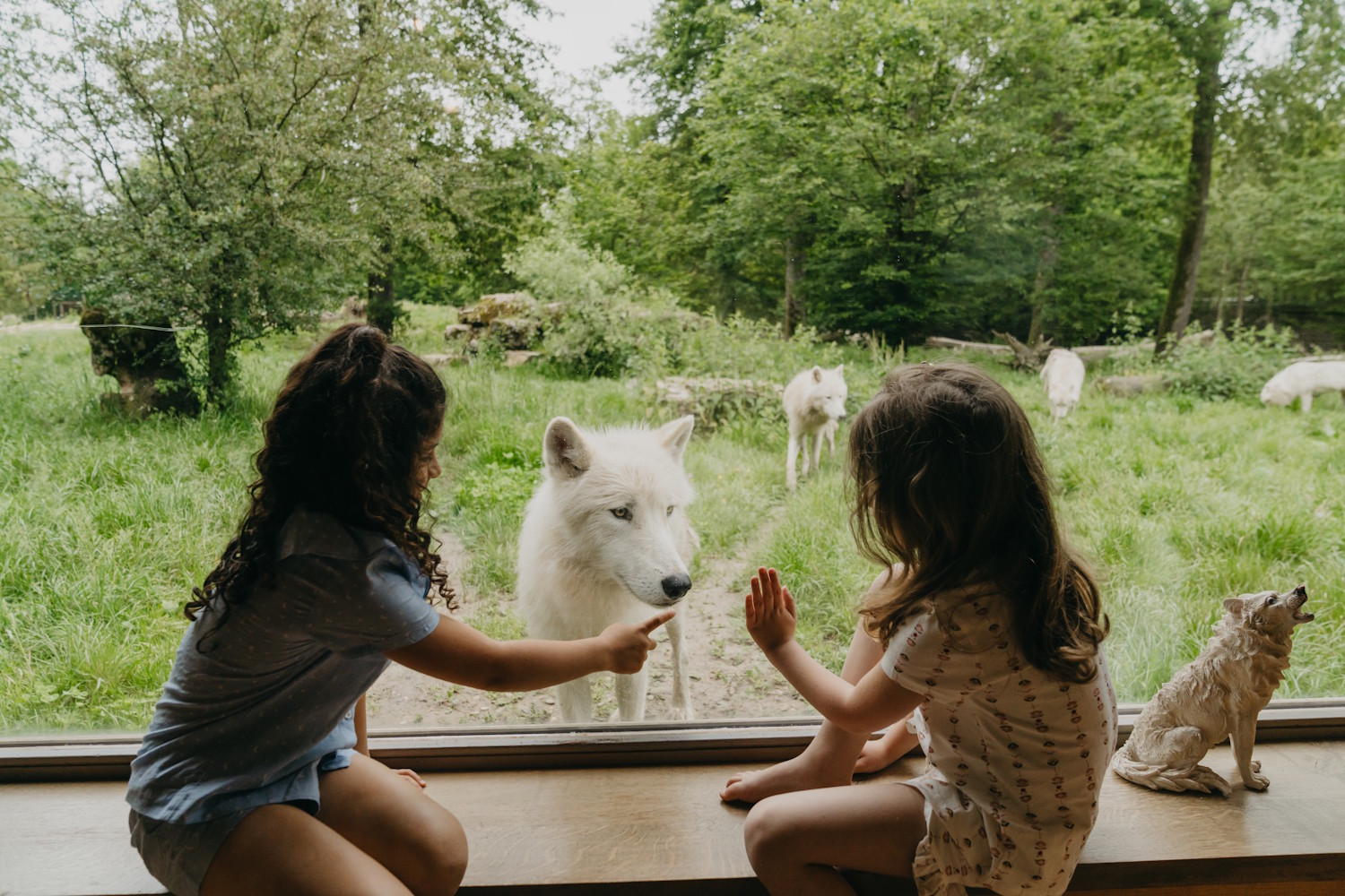 Dormire con i lupi al Parc Animalier de Sainte-Croix