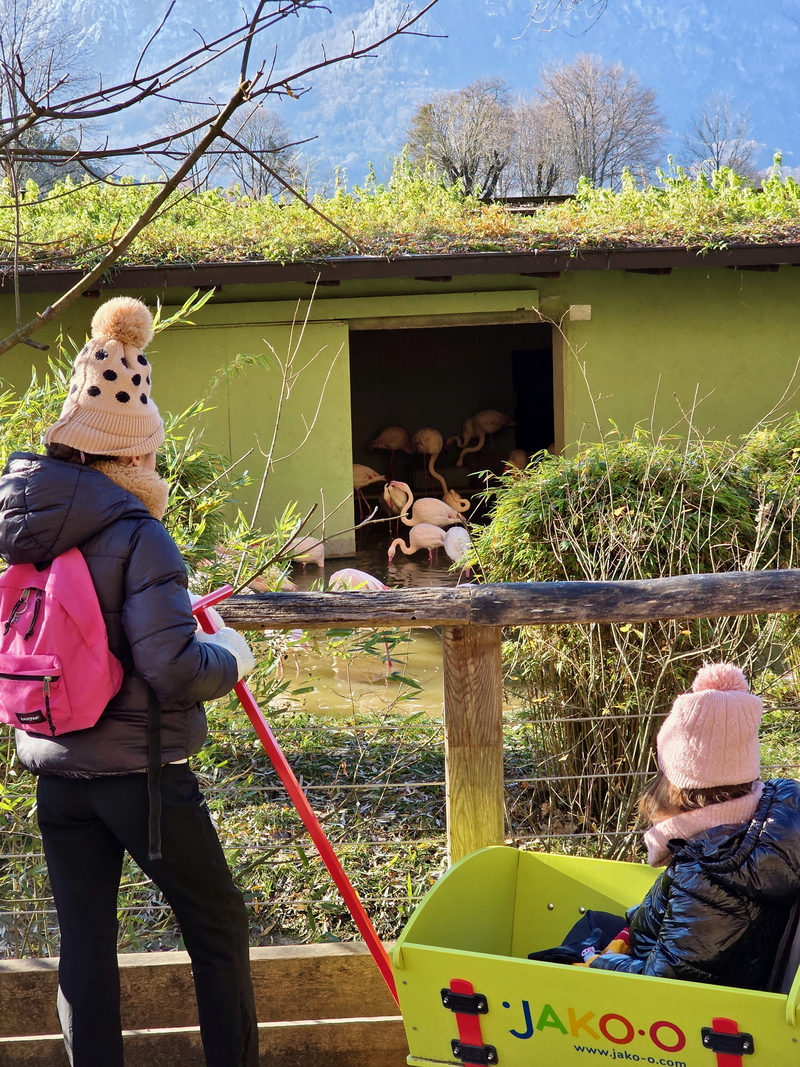 Salisburgo con i bambini: lo zoo di Hellbrunn