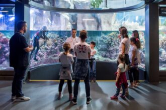 Natale a Genova: eventi per famiglie