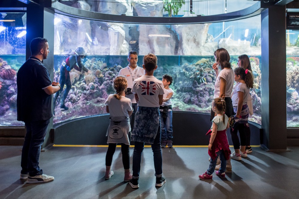 Natale a Genova: eventi per famiglie