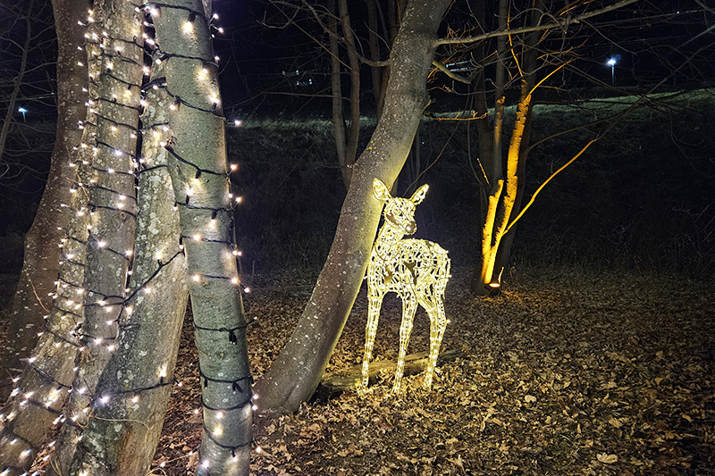 Sentiero della luce a Mallnitz