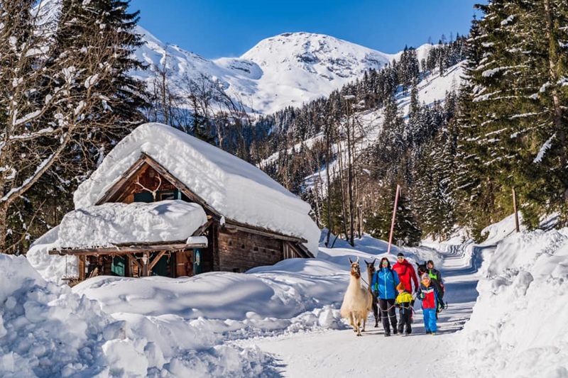 Passeggiate per famiglie con i lama, inverno a Mallnitz con i bambini