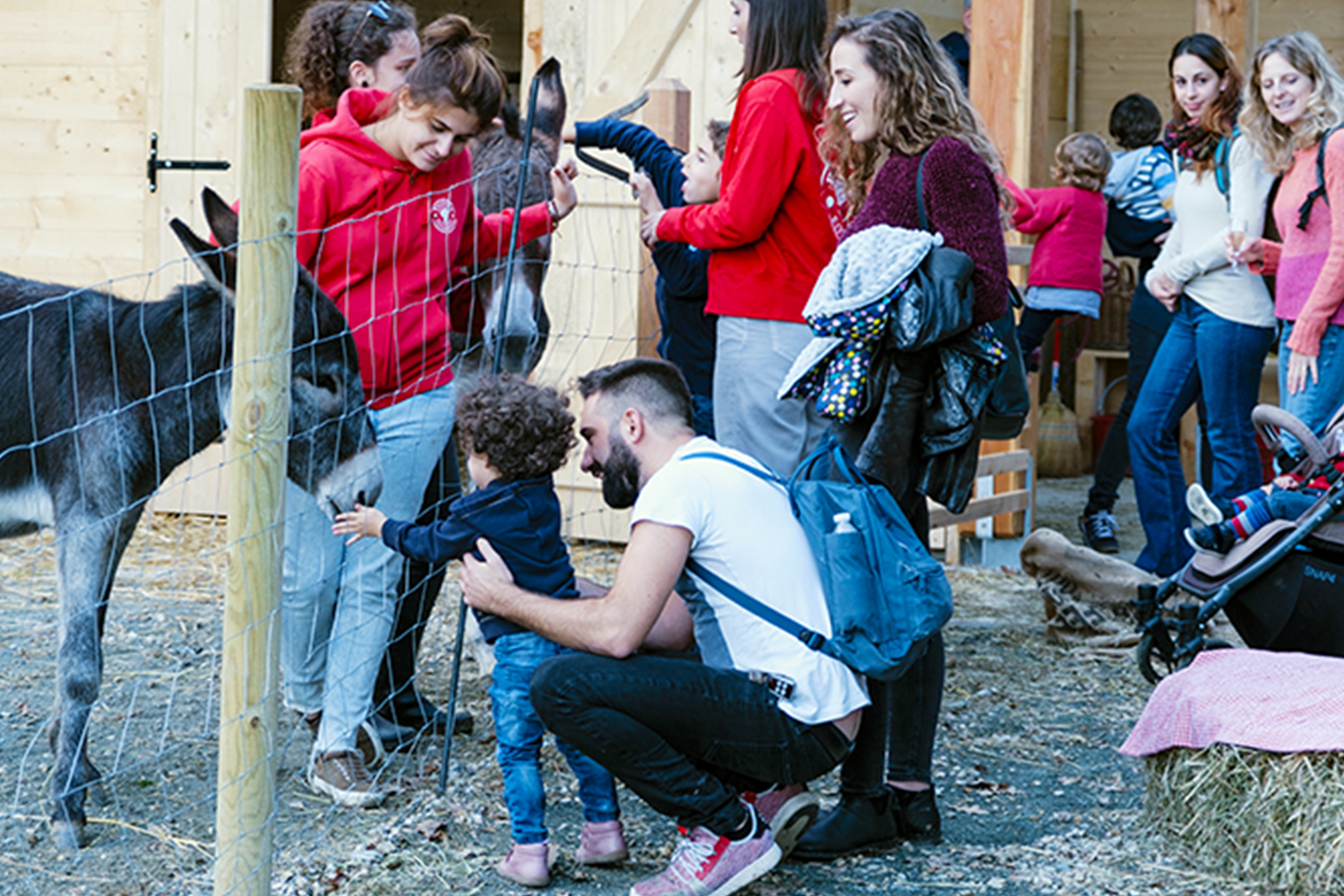 Attività con gli asinelli alla Fattoria Sociale Paideia