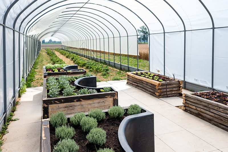 Serre e orto © Fattoria Sociale Paideia