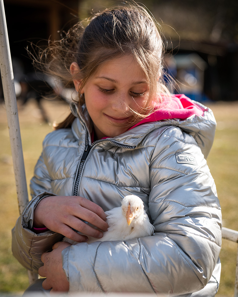 L'Allegra Fattoria a Tolmezzo