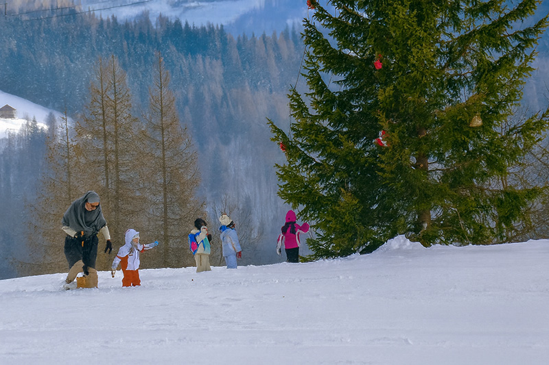 Avventure nel bosco a Sauris per i bambini