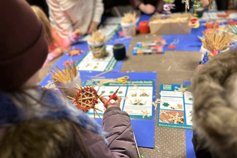 Laboratori bambini nella Spreewald