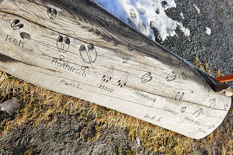 Impronte nel Parco degli Alti Tauri, passeggiata con i bambini