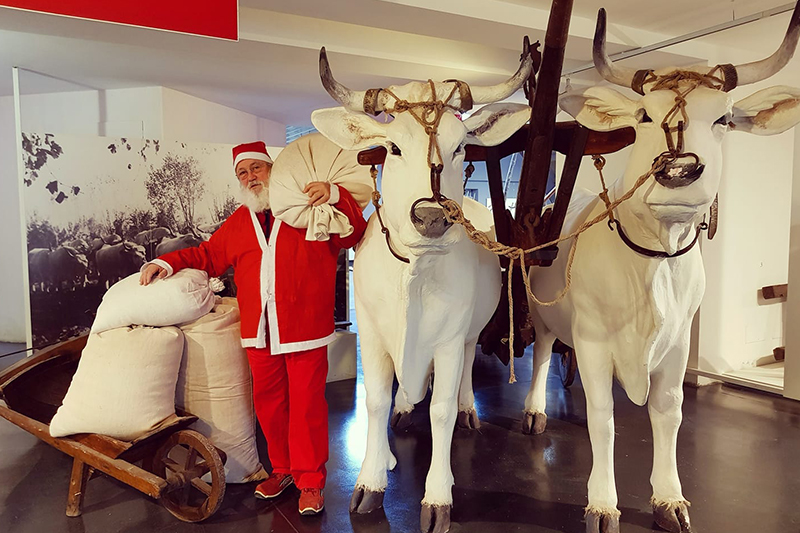 Museo della Civiltà Contadina © Museo