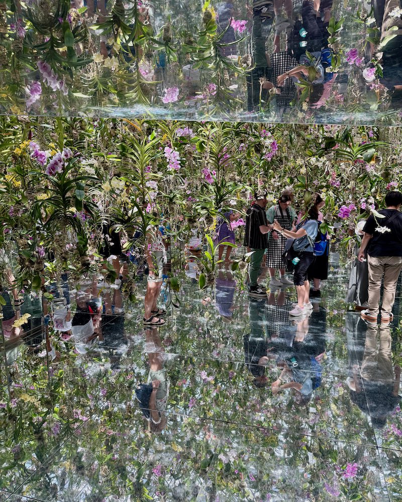 teamlab planets tokyo fiori galleggianti