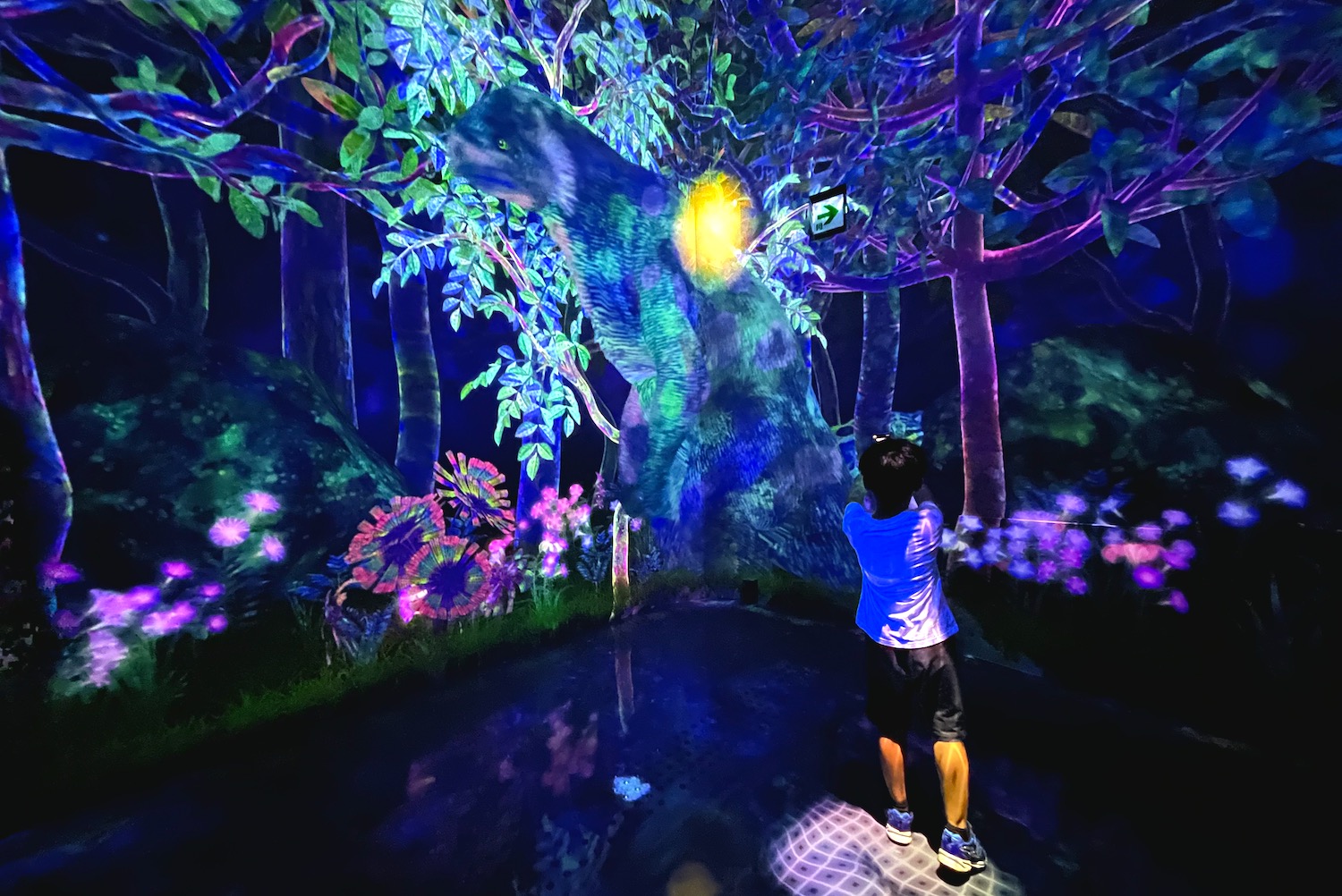 TeamLab Planets Tokyo