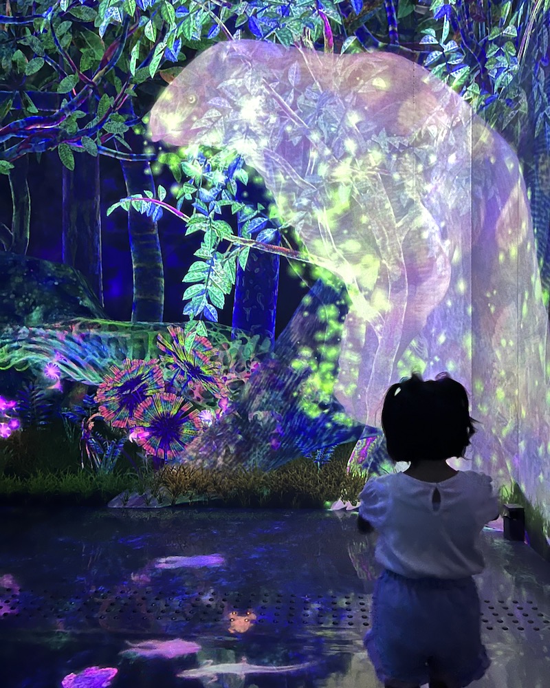 catching forest teamlab tokyo