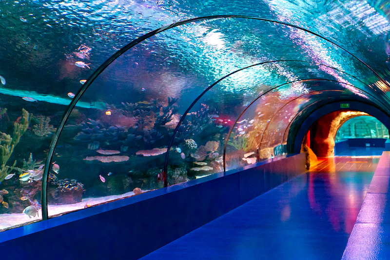 Antalya Aquarium