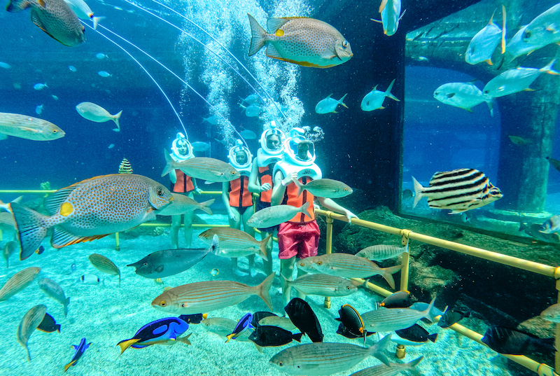 sotto acqua the land of legends