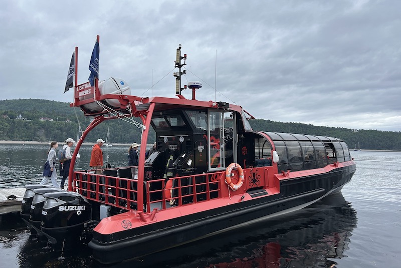 barca whale watching tadoussac