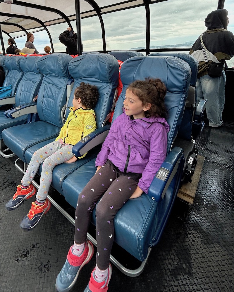 tadoussac barca whale watching