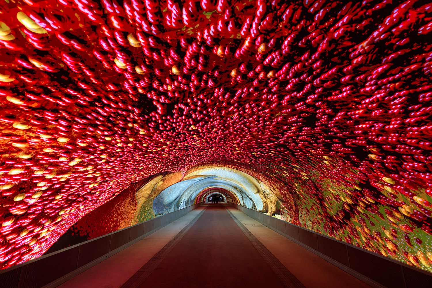 DAG, galleria d’arte digitale Gorizia 