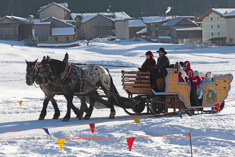 Slitta con cavalli © ApT Fassa, ph. N. Angeli