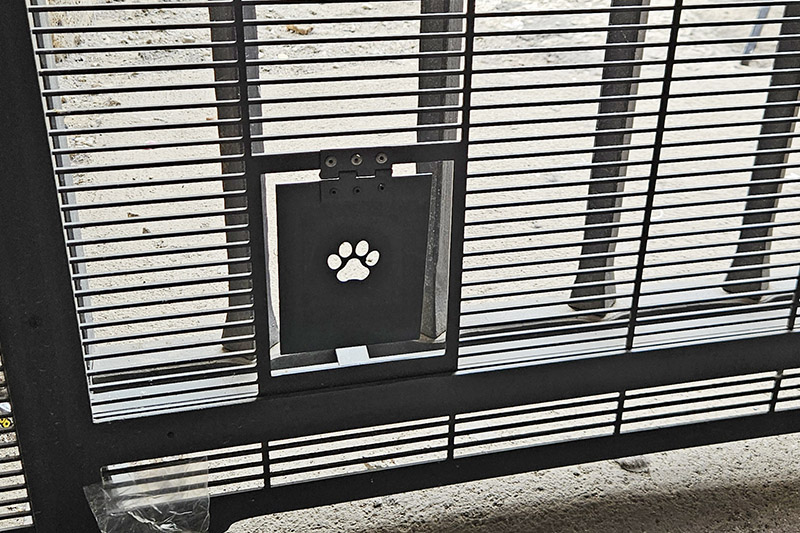 Le porticine per i gatti al Colosseo