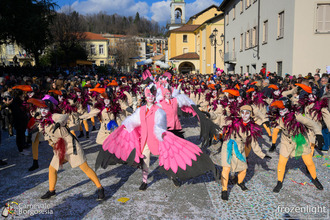 Il Carnevale di Borgosesia @ Frozenlight