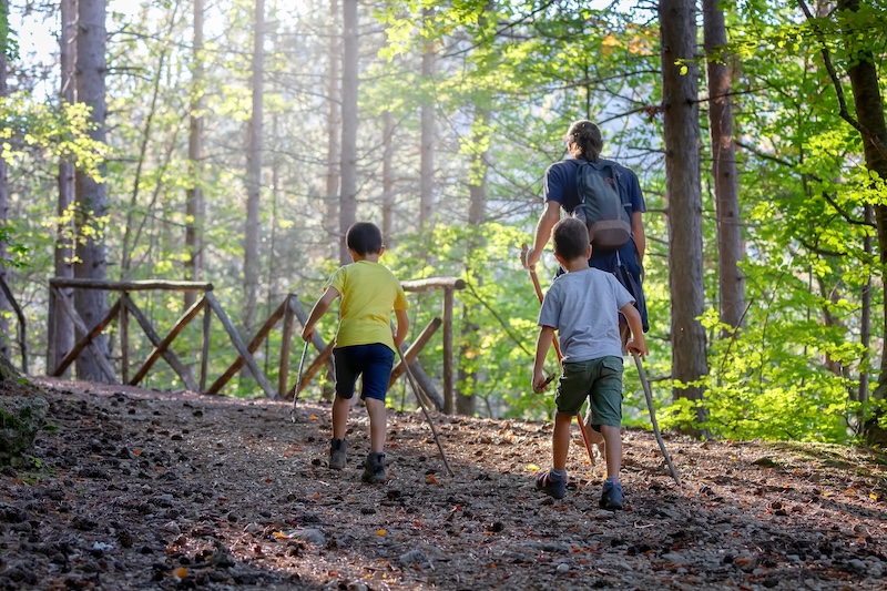 Trekking nel bosco per famiglie