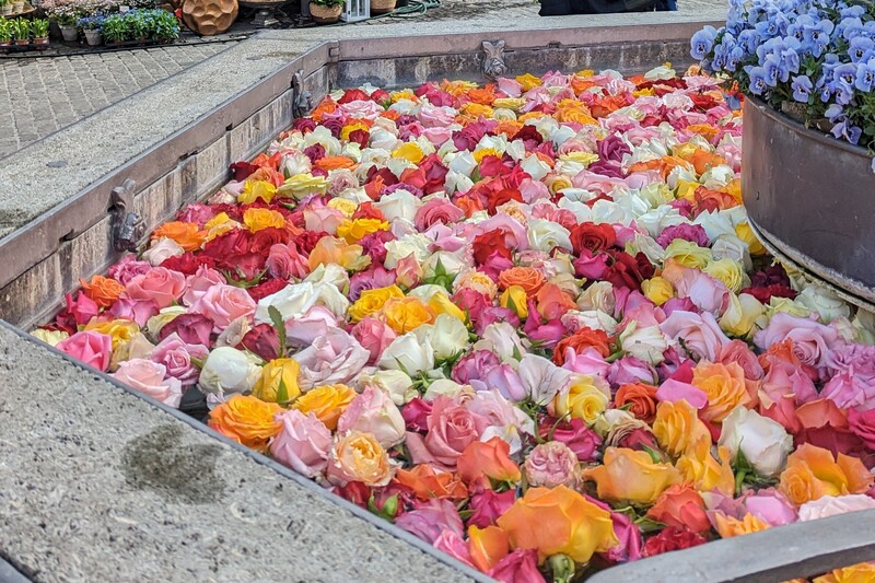 Pasqua a Zurigo: le fontane in fiore