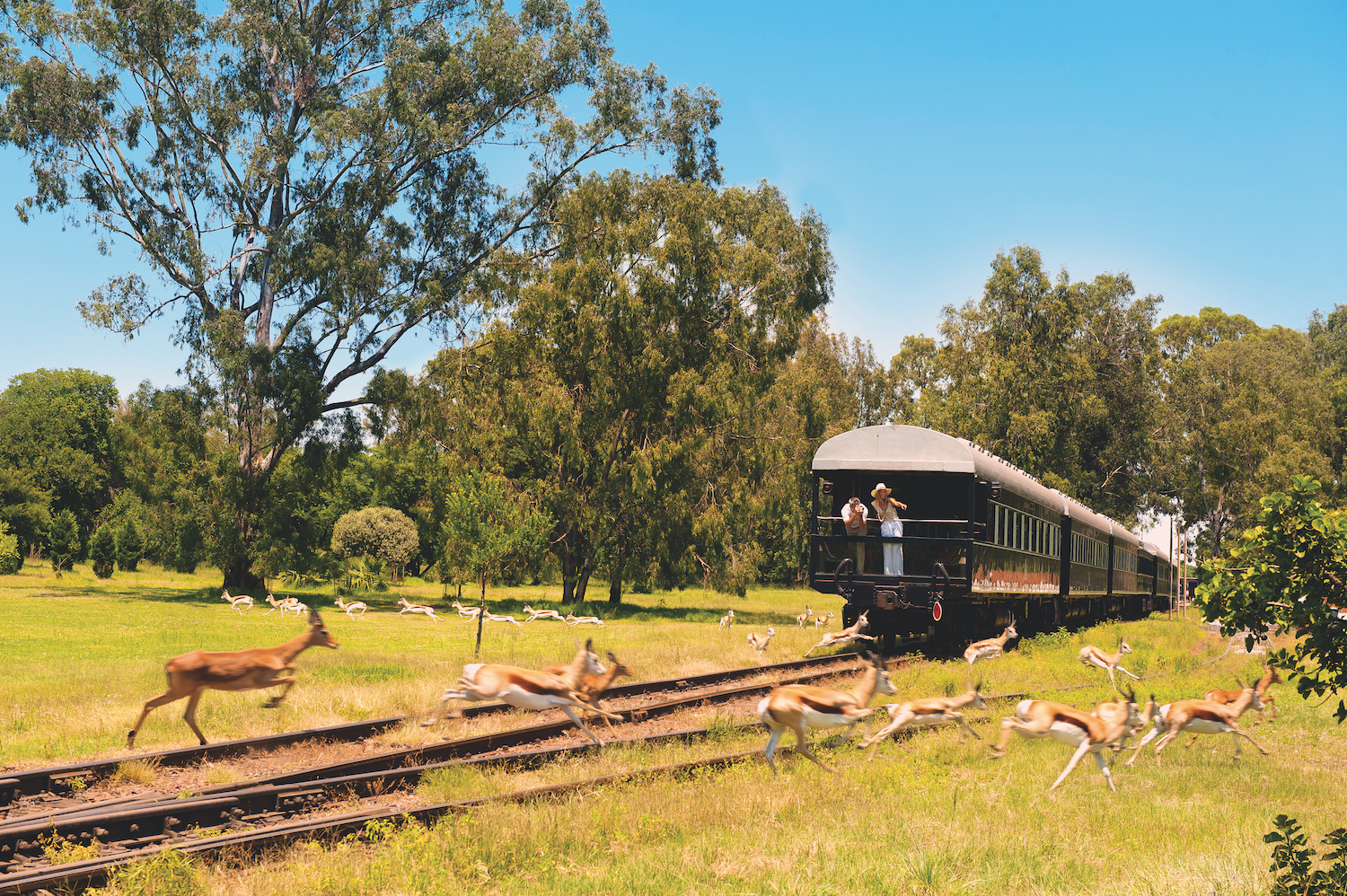 viaggio in treno in Sudafrica